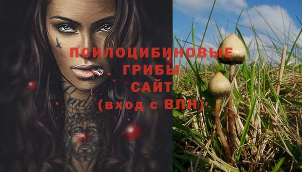 прущие крисы Михайловск