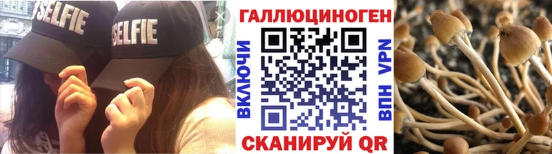 Псилоцибиновые грибы Cubensis  Новочебоксарск 
