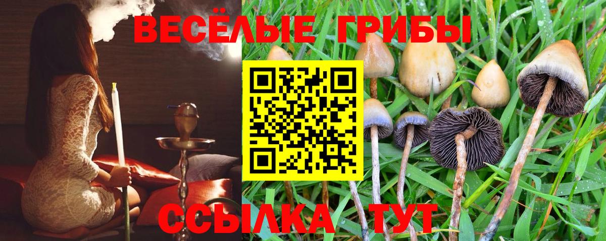 Псилоцибиновые грибы Cubensis  Вход с VPN  Новочебоксарск 