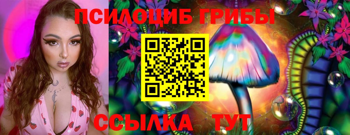 Галлюциногенные грибы MAGIC MUSHROOMS Новочебоксарск